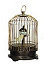 German Bird Cage clock,