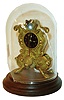 Austria, Zappler clock, gilt cast brass case with animal paw feet, and decorated with acanthus leaf, scrolls, and foliate ornament, with Arabic black enamel dial, gilt spade hands, all fixed to a wooden base and covered with a glass dome, c1840