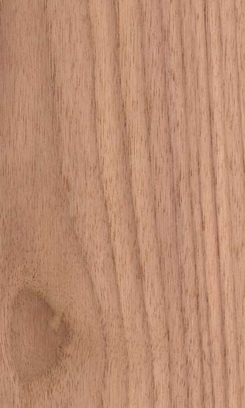 American Black Walnut wood sample