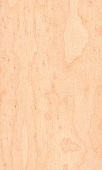 Birdseye Maple wood sample