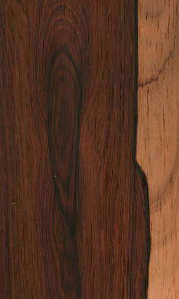 Brazilian Rosewood wood sample