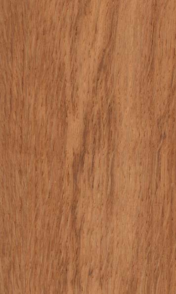English Brown Oak wood sample