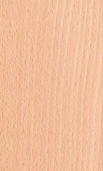 European Beech wood sample
