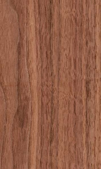 Figured Walnut wood sample