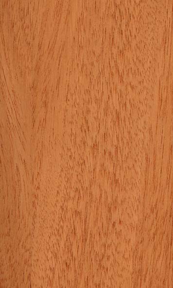 Honduras Mahogany wood sample