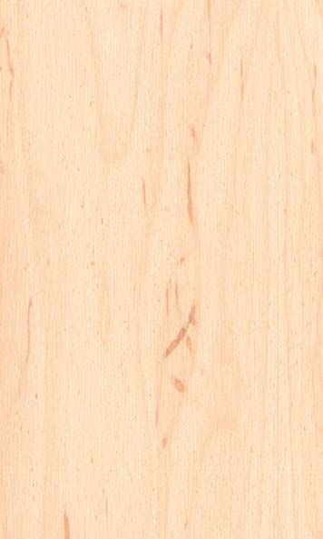 Maple wood sample