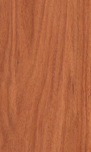 Santos Rosewood wood sample