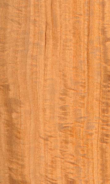 Satinwood wood sample