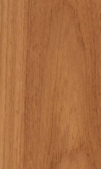 Teak wood sample