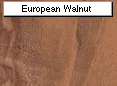 European Walnut