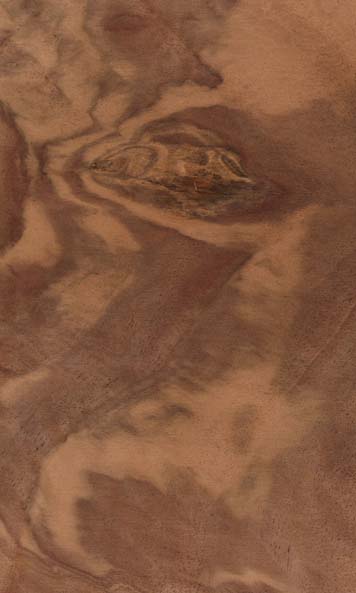 Walnut Burl wood sample